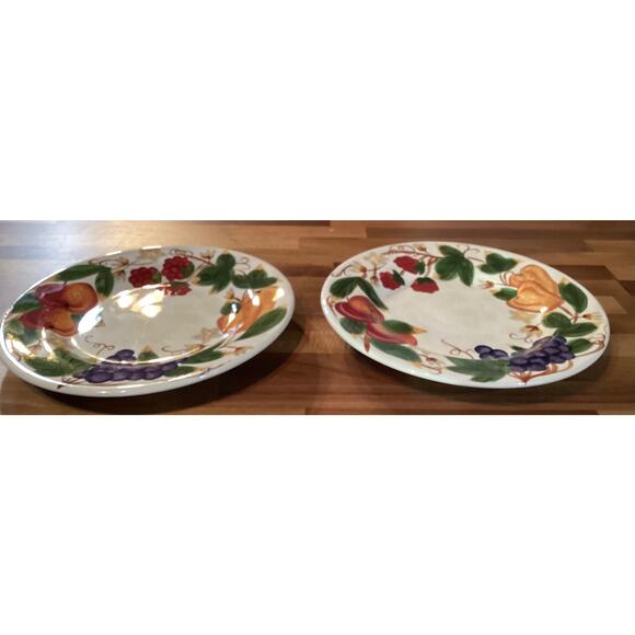 Hannah TableTops Unlimited Hand Painted Collection 11” Dinner Plates Set of 2 - Picture 3 of 10